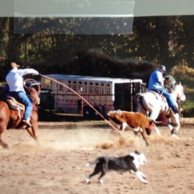 Profile Picture of Clay Ames (@@agentames) on Twitter