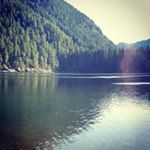 Profile Picture of Eric Scheib (@scheiberic75) on Instagram