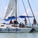 Profile Picture of Grande Falcão( Devacir Falcão) (@grandefalcao37) on Instagram