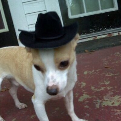 Ron Webert - Twitter Profile Picture of Ron Webert (@tibadola) on Twitter