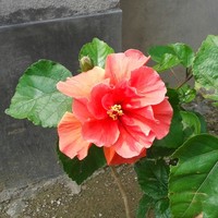 Profile Picture of Anwarul Alam (@anwarul-alam-6) on Quora