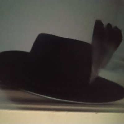 Profile Picture of "Leia" More Than One Andrew (@HMalphus) on Twitter