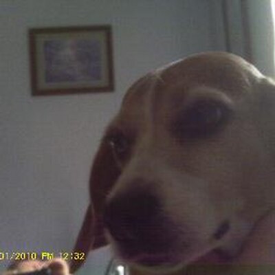 Profile Picture of Crystal Graves (@GravesSunshine) on Twitter