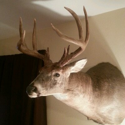 Profile Picture of Jason Barnhill (@barnhill_jason) on Twitter