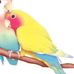 Profile Picture of Manal Rezek (@manal.rez.12) on Facebook