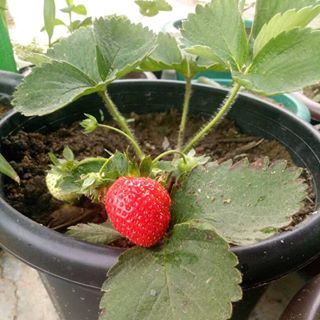 Profile Picture of Than Than Andrew (@thanthan.andrew) on Facebook