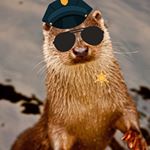 Profile Picture of Jason Colonghi (@shenanigansmcgillicutty) on Instagram