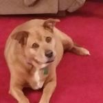 Profile Picture of Dee Chambers (@dee.chambers.524) on Instagram