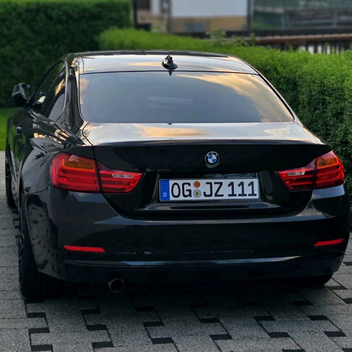 Profile Picture of Jason (@jasonzib) on Tiktok