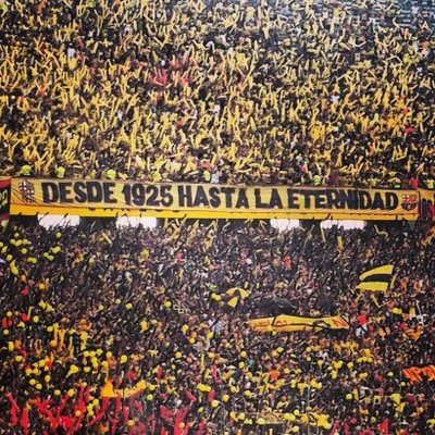 Profile Picture of Carlos Pinos (@carlospinos3i) on Twitter