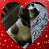 Profile Picture of Nathan Grubb (@@nathangrubb2) on Tiktok