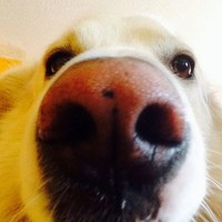 Profile Picture of Joey Soto (@joey-soto-15) on Quora