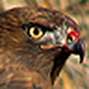 Profile Picture of Scott Button (@Scott Button) on Flickr