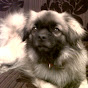 Profile Picture of dorothy dixon (@@dotty0207) on Tiktok