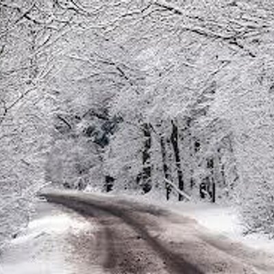 Lance Tan - Twitter Profile Picture of Lance Tan (@Lancetan94) on Twitter