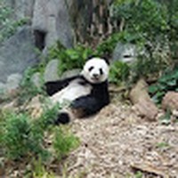 Profile Picture of Isabel Koh (@isabel-koh-11) on Quora