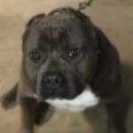 Profile Picture of Meaghan Long (@m_jlong) on Instagram