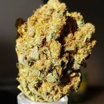 Profile Picture of SmokeWeedAllDay (@david_dansons) on Instagram