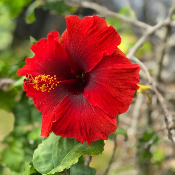 Profile Picture of Zoe Lodahl (@zoelodahl) on Poshmark