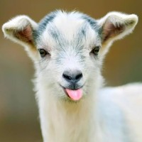 Profile Picture of Joseph Chambers (@joseph-chambers-33) on Quora