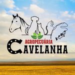 Profile Picture of Agropecuária Cavelanha| Casa Branca/SP (@agropecuaria.cavelanha) on Instagram
