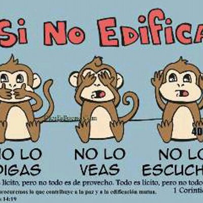 Profile Picture of Silvia Cuevas (@kolibricuevas) on Twitter