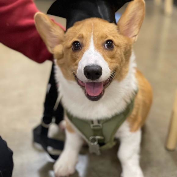 Profile Picture of Lorilei Agdeppa (@lagdeppa) on Poshmark