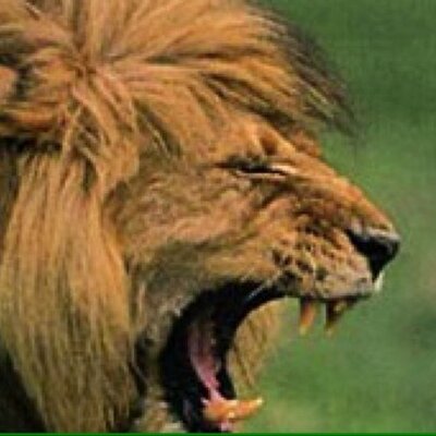 Profile Picture of Mario Giannini (@ingmargia) on Twitter