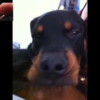 Profile Picture of Bianca Quinn (@Bianca-Quinn) on Facebook