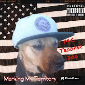 Profile Picture of Kyle Knowlton (@Trooperdog) on Youtube