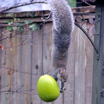 Profile Picture of Michael Lanier (@cupe1936) on Twitter