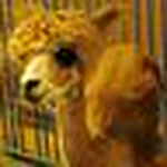 Profile Picture of Scott Parker (@ksparker) on Flickr