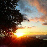 Profile Picture of Conor W. (@conradjdexter) on Instagram