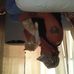 Profile Picture of Kenneth Monahan III (@kenneth.monahaniii) on Facebook