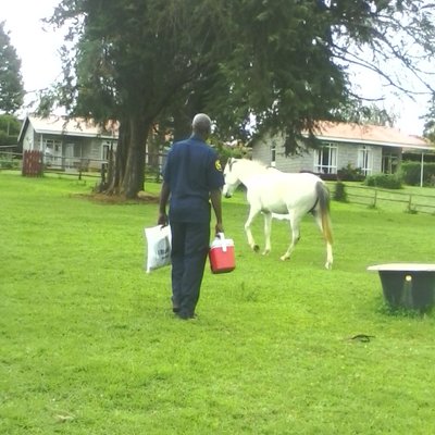 Profile Picture of Dr Mugodo (@abu20122) on Twitter