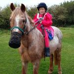 Profile Picture of Tina Sharkey (@tina.sharkey.12) on Instagram