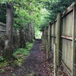 Profile Picture of James Fordingbridge (@candy_lover_3736187) on Instagram