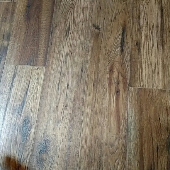 Profile Picture of Lynn Twedt (@lykenntwe) on Poshmark