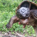 Profile Picture of Matthew Fenza (@matthewfenza) on Instagram