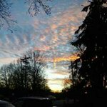 Profile Picture of Saundra Craven (@robynspirit) on Instagram