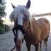 Profile Picture of Katharina Fleischhacker (@Katharina-Fleischhacker) on Facebook