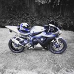 Profile Picture of Phil Holland (@theferalbadger) on Instagram