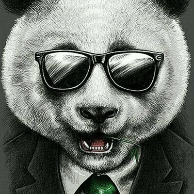 Profile Picture of Sylvain Bivert (@SBivert) on Twitter