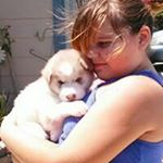 Profile Picture of Sandy Surratt (@sandysurrattgmail) on Instagram