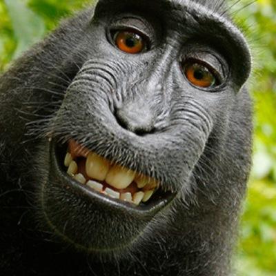 Rodolfo Gauna - Twitter Profile Picture of Rodolfo Gauna (@rudygauna) on Twitter