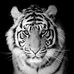 Profile Picture of Mitchell Moody (@mitchell.moody.77) on Facebook
