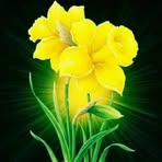 Profile Picture of Adam Haward (@Adam-Haward) on Facebook