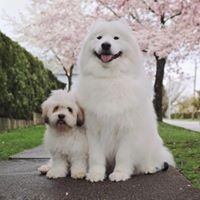 Profile Picture of Lucas Bates (@lucas-bates-8) on Quora