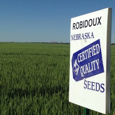 Profile Picture of Chris Cu11an (@ChrisCullan1) on Twitter