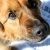 Profile Picture of Inez Bounds (@inezbounds) on Pinterest